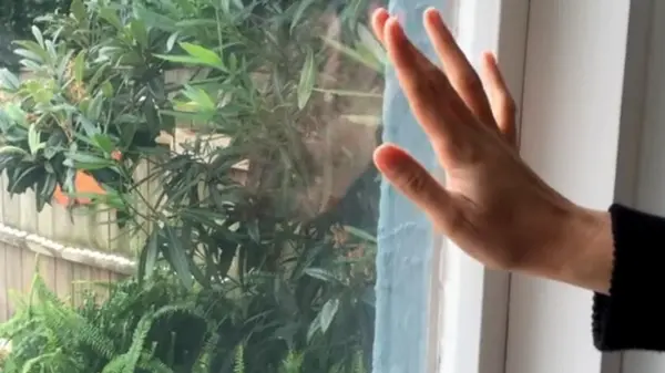 Как утеплить окна на зиму: лайфхак, который поможет уменьшить теплопотери