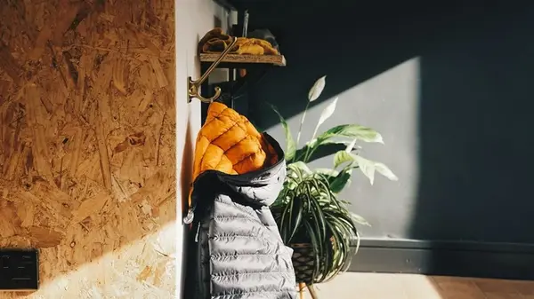 Домашняя чистка пуховика без воды и химчистки: несколько простых трюков, чтобы освежить зимнюю куртку