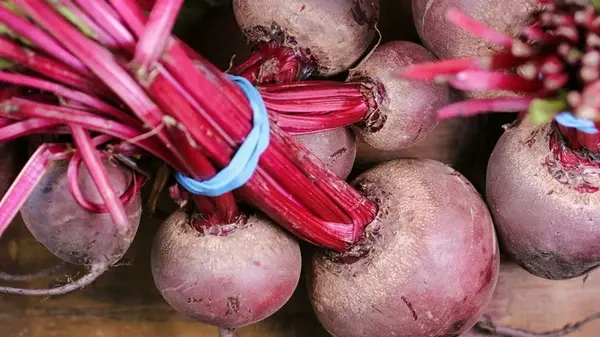 Как сохранить свеклу свежей в подвале: советы профессионалов, чтобы корнеплоды не гнили