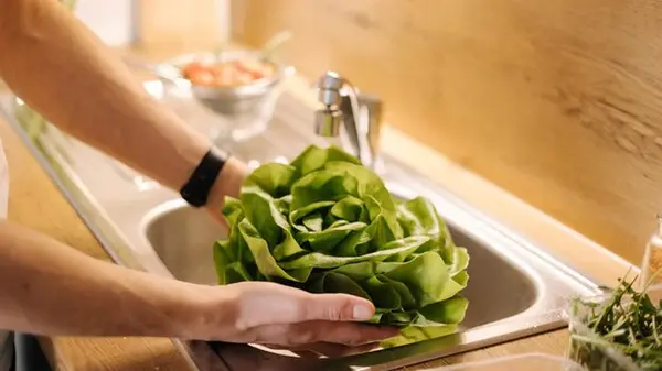 Как мыть листовую зелень, чтобы удалить грязь и микробы: действенные советы