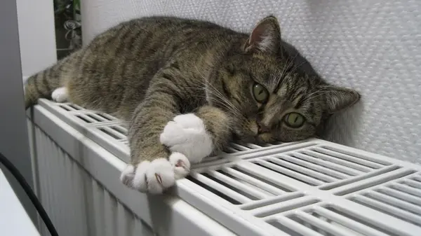 Сделайте несколько простых трюков с мебелью в комнате и гарантированно станет теплее – вы удивитесь