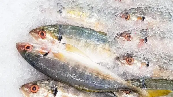 Что дает сердцу привычка есть сардины каждый день: врачи назвали главные плюсы и риски