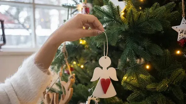 Живая елка на праздник: что сделать, чтобы хвоя не осыпалась раньше