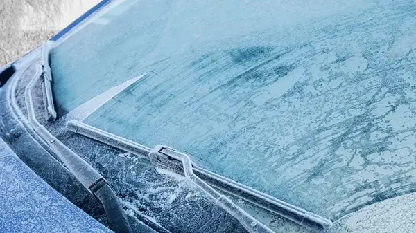 Эксперт посоветовал водителям возить в авто зимой свежий огурец — для чего он нужен