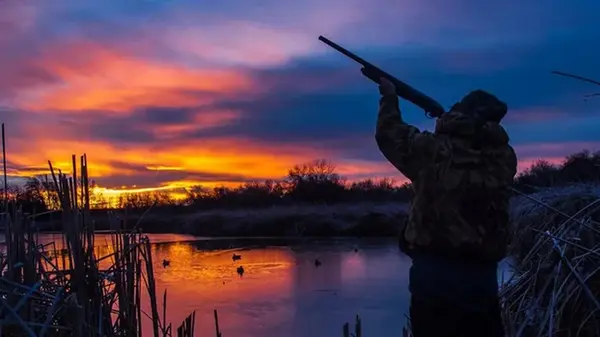 Как подготовиться к охотничьему сезону