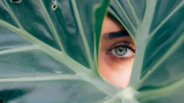 Названы 12 суперпродуктов, которые «спасут» зрение