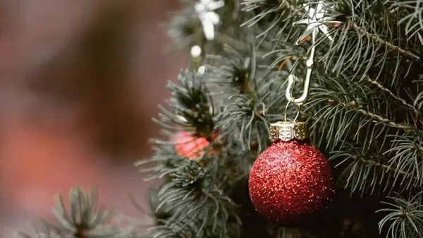 Визуальный тест: выберите елку и узнайте свою скрытую реакцию на стресс