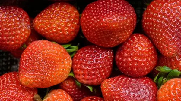 Не только цитрусовые: фрукты с рекордным содержанием витамина С