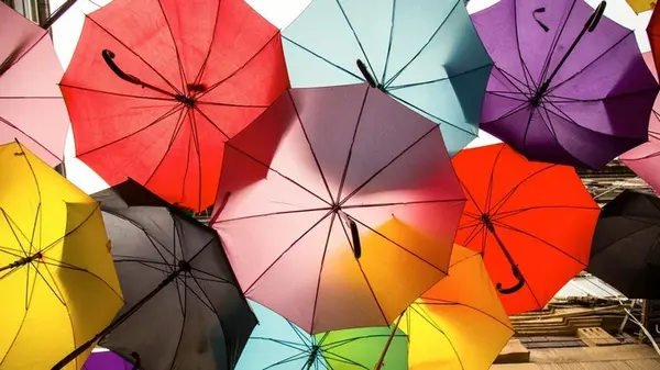 Визуальный тест: выбор зонта может рассказать о вашей самой большой слабости