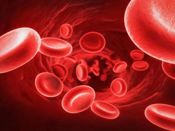 О чем говорит низкий уровень гемоглобина в крови