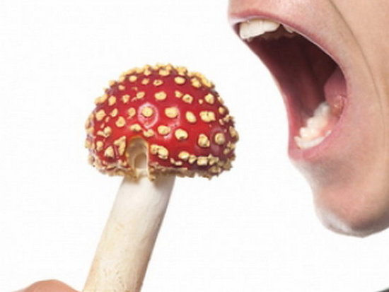Симптомы отравления грибами