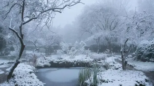 Чего не стоит делать в саду зимой: 5 опасных ошибок