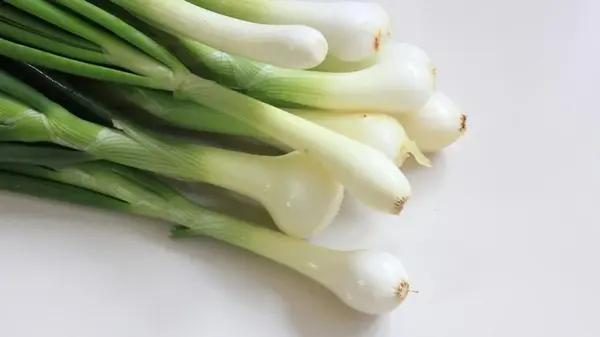 Как вырастить зеленый лук на подоконнике зимой: садоводы раскрыли простые правила