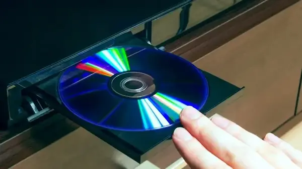 Почему садоводы зимой вешают компакт-диски прямо над грядками