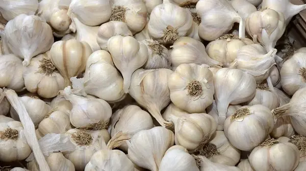 Можно ли хранить чеснок в холодильнике: ответ вас удивит