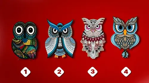 Какой у вас стиль общения с окружающими: выбор совы очень точно вас опишет