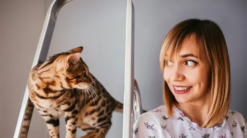 Почему кошка постоянно ходит за своим хозяином: вы точно о таком не знали