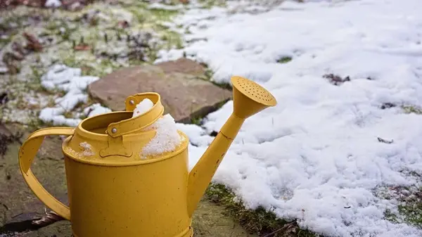 Что надо сделать в саду в мороз: эти 7 быстрых дел сэкономят вам 40 часов весной