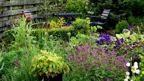 Как создать иллюзию пространства: лучшие растения для маленьких садов