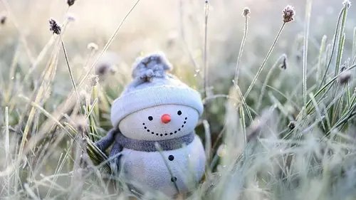 Гороскоп на неделю: для всех знаков зодиака