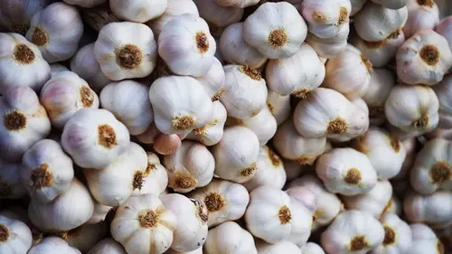 Что посадить в феврале: 5 овощей для раннего урожая в огороде