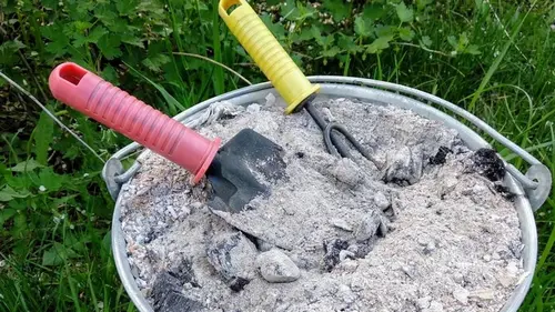 Под какие плодовые деревья и кустарники нельзя сыпать древесный пепел, иначе сад просто погибнет