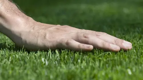 Не делайте этого с газоном в феврале: ошибка, из-за которой трава становится реже