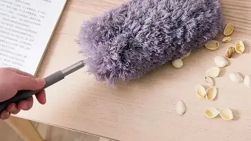 Пипидастр — не просто пушистик: как им правильно убирать