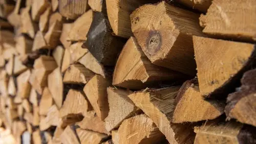 Поваленное дерево во дворе: как использовать его с пользой