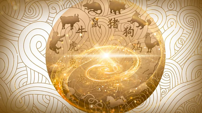Какие самые успешные китайские знаки Зодиака: им суждено блистать