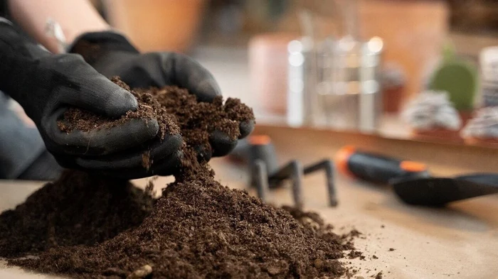 Как улучшить покупную почву для рассады: что нужно добавить — и это не перлит