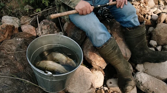 Март 2026 года: когда рыба клюет лучше всего — секретные даты и советы рыбакам