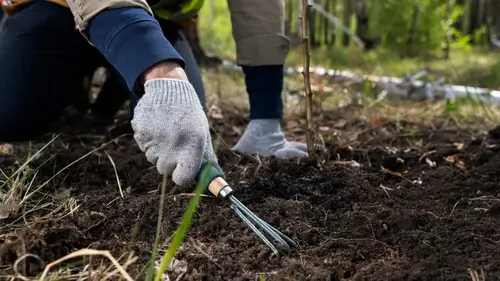 Точный лунный календарь для посева в марте 2026: что сажать на рассаду