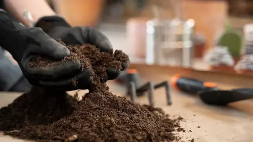 Как улучшить покупную почву для рассады: что нужно добавить — и это не перлит