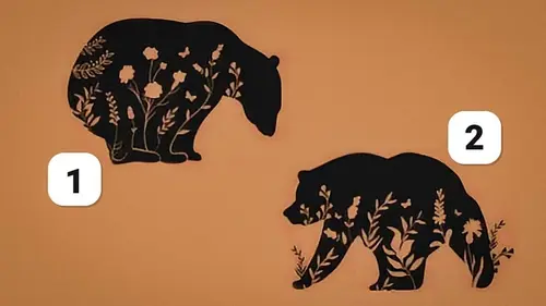 Интернет покоряет новый тест: психологический разбор вашей личности