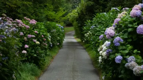 Требуют внимания уже сейчас: какие кусты нужно обрезать в феврале, чтобы не потерять цветение