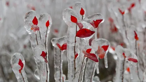 Гороскоп на неделю: для всех знаков зодиака
