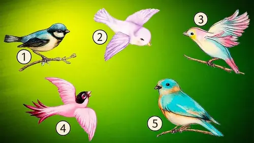 Как вы любите своих близких: психологический тест по картинкам