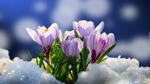 Гороскоп на неделю: для всех знаков зодиака