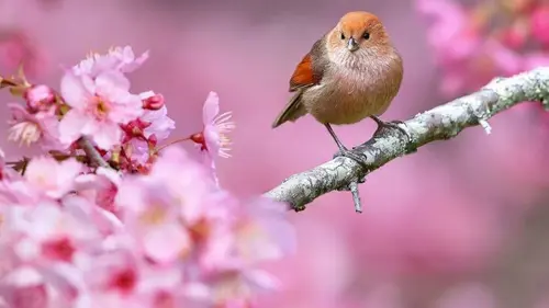 Гороскоп на март-2026: Овнам — риск, Львам — романтика