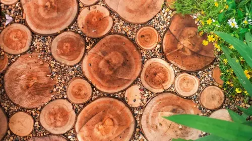 Как превратить старое дерево в стильную садовую дорожку