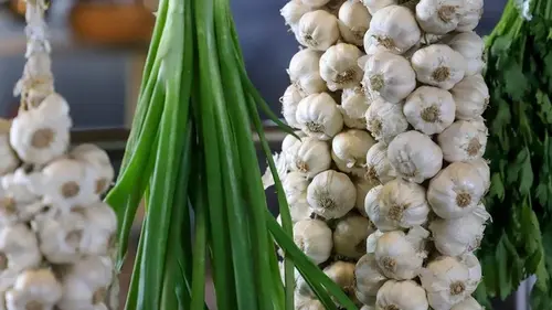 Что нельзя сажать после чеснока: об урожае можете забыть