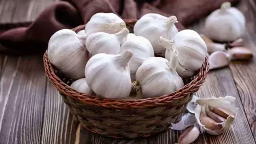 Как вырастить чеснок на балконе: пошаговая инструкция от садовода