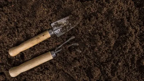 Агроном объяснил, как понять, что земля отдохнула и готова к поса...