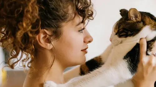 Люди, которые любят кошек, обладают 8 необычными чертами характер...