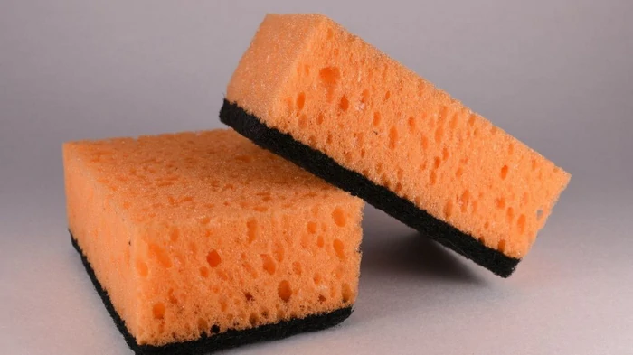 Не выбрасывайте кухонные губки: эксперт объяснил, как они могут помочь садоводам