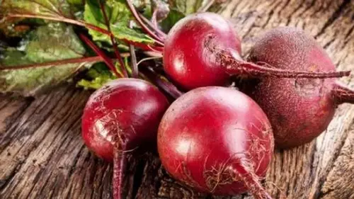 Выбираем самые сладкие сорта столовой свеклы