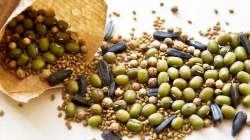 Семена каких культур нужно замачивать перед посадкой: возьмите се...