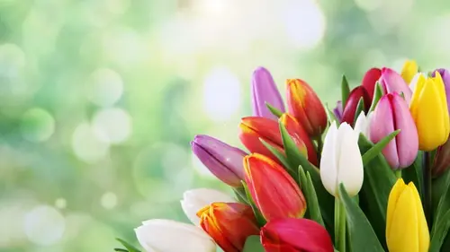 Гороскоп на неделю: для всех знаков зодиака