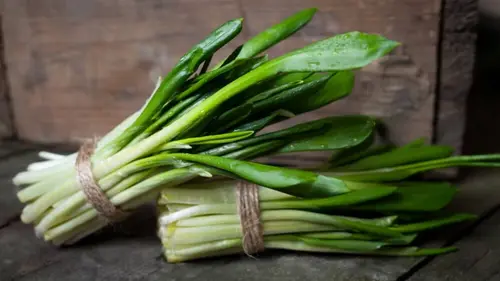 Салат с черемшой: три рецепта простых, но очень вкусных блюд